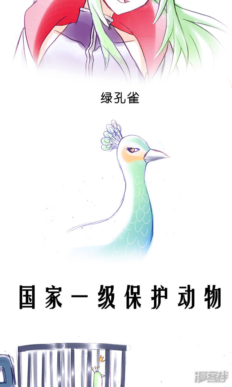 我家大师兄脑子有坑番外23 飞星喵6-15合集