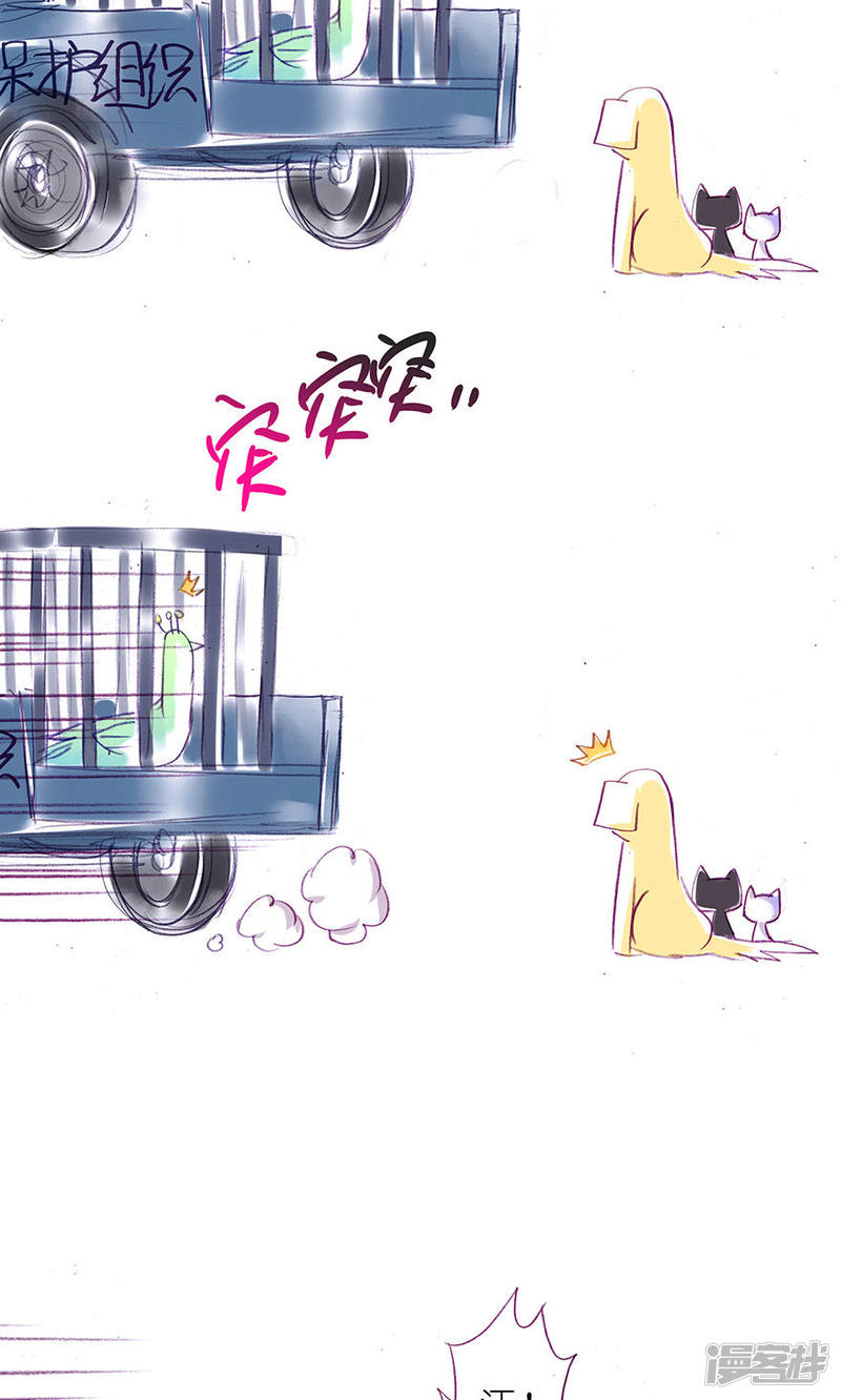 我家大师兄脑子有坑番外23 飞星喵6-15合集