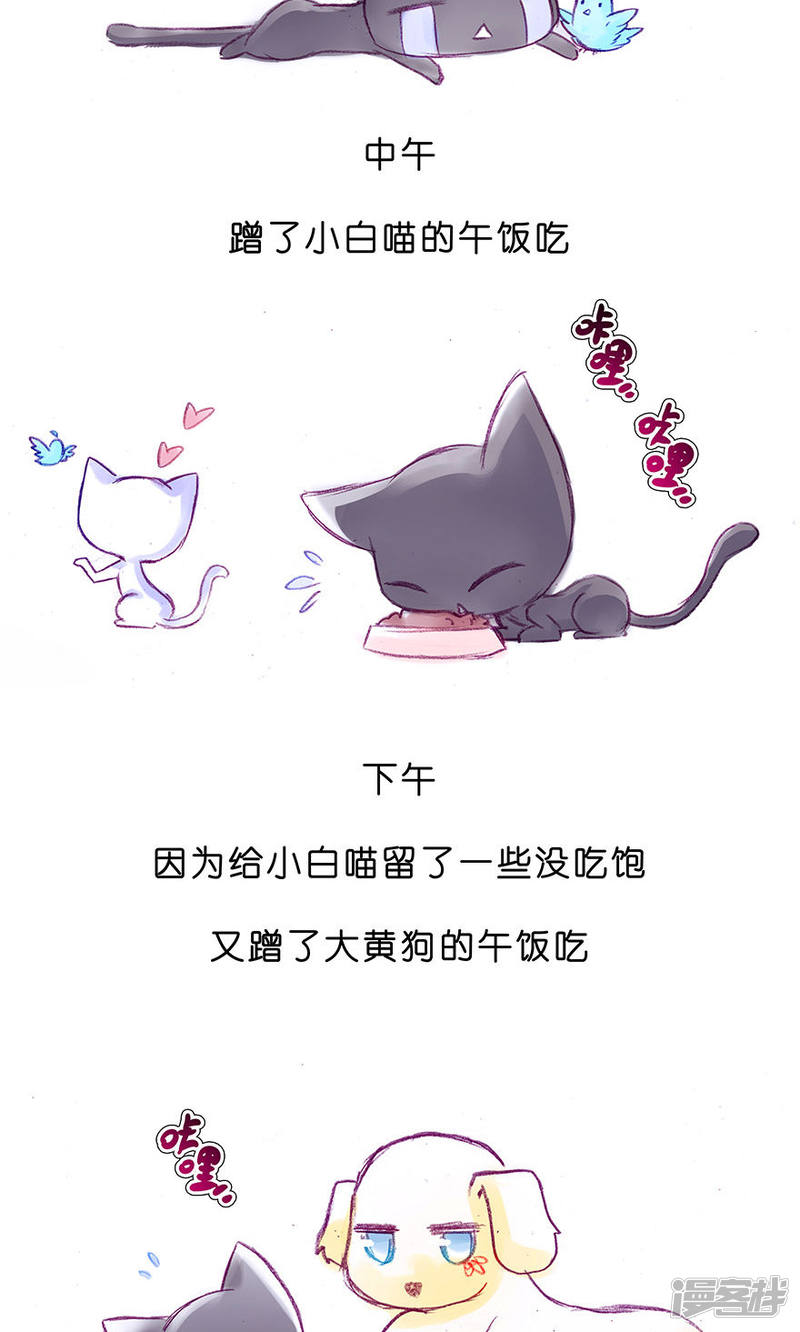 我家大师兄脑子有坑番外23 飞星喵6-15合集