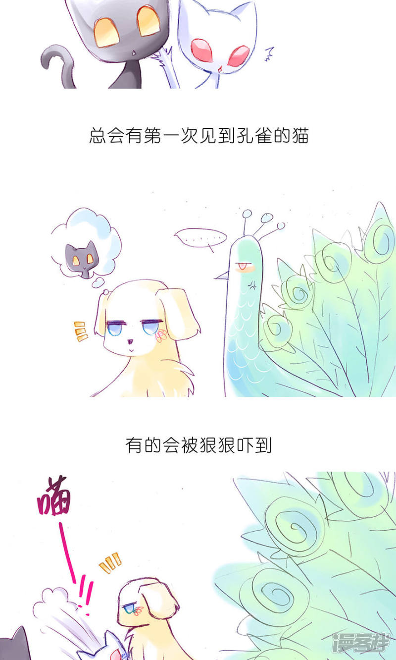 我家大师兄脑子有坑番外23 飞星喵6-15合集