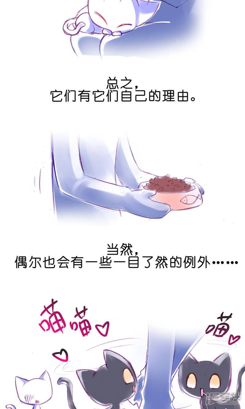 我家大师兄脑子有坑番外23 飞星喵6-15合集