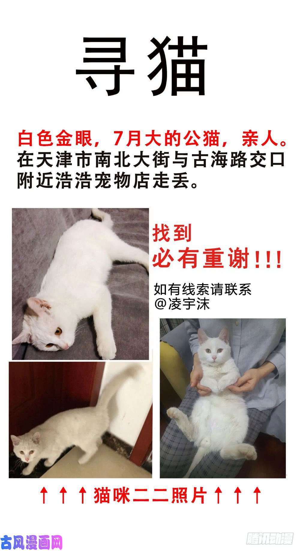 我家大师兄脑子有坑寻猫启示