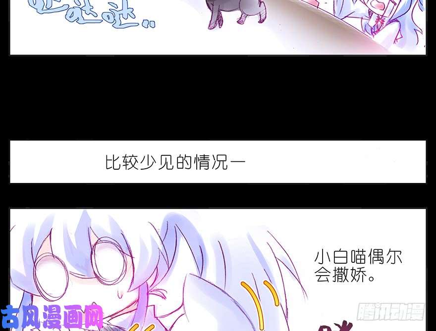 我家大师兄脑子有坑番外：忽然养只猫 六