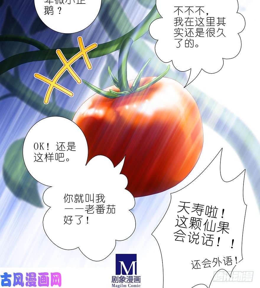 我家大师兄脑子有坑第388坑 哼，拿话本座的东西！