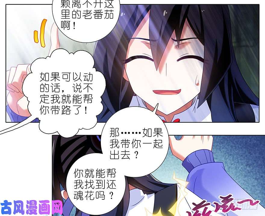 我家大师兄脑子有坑第389坑 并不固定的套路