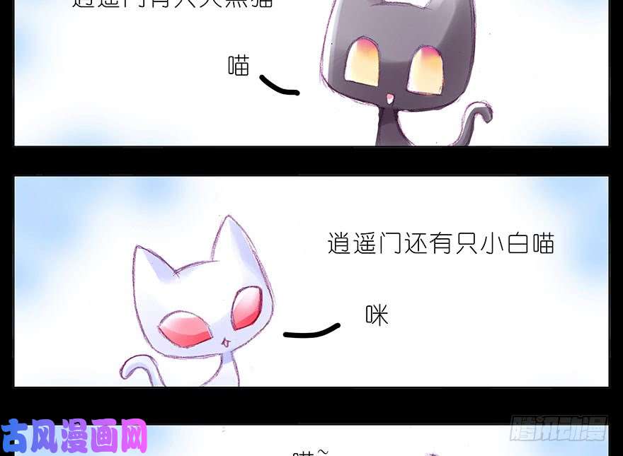 我家大师兄脑子有坑番外：忽然养只猫 八