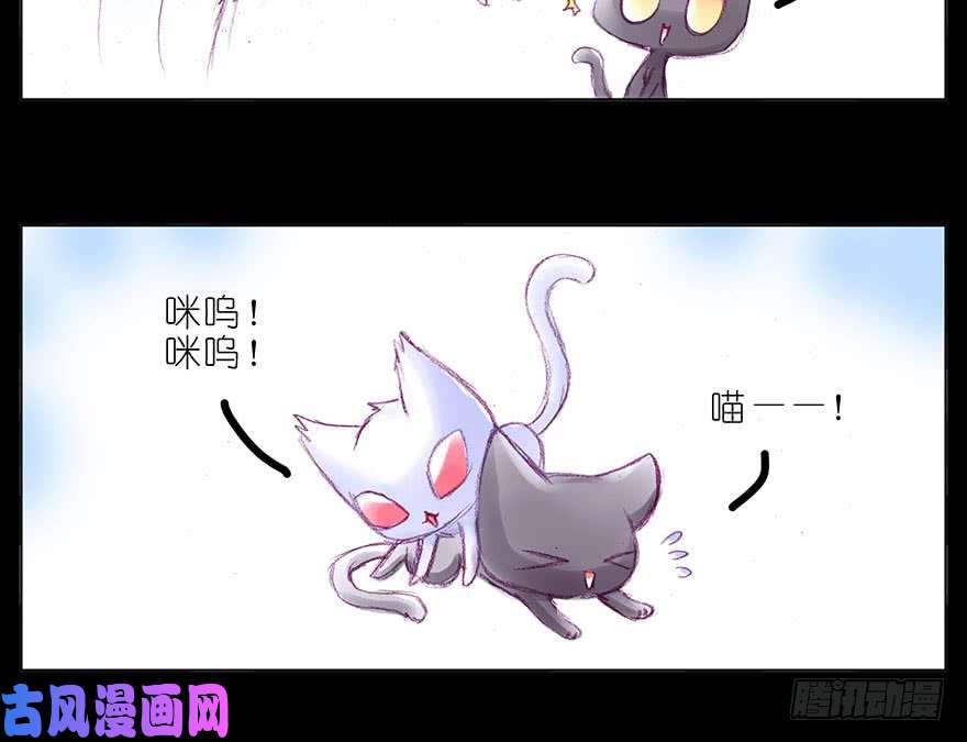 我家大师兄脑子有坑番外：忽然养只猫 八