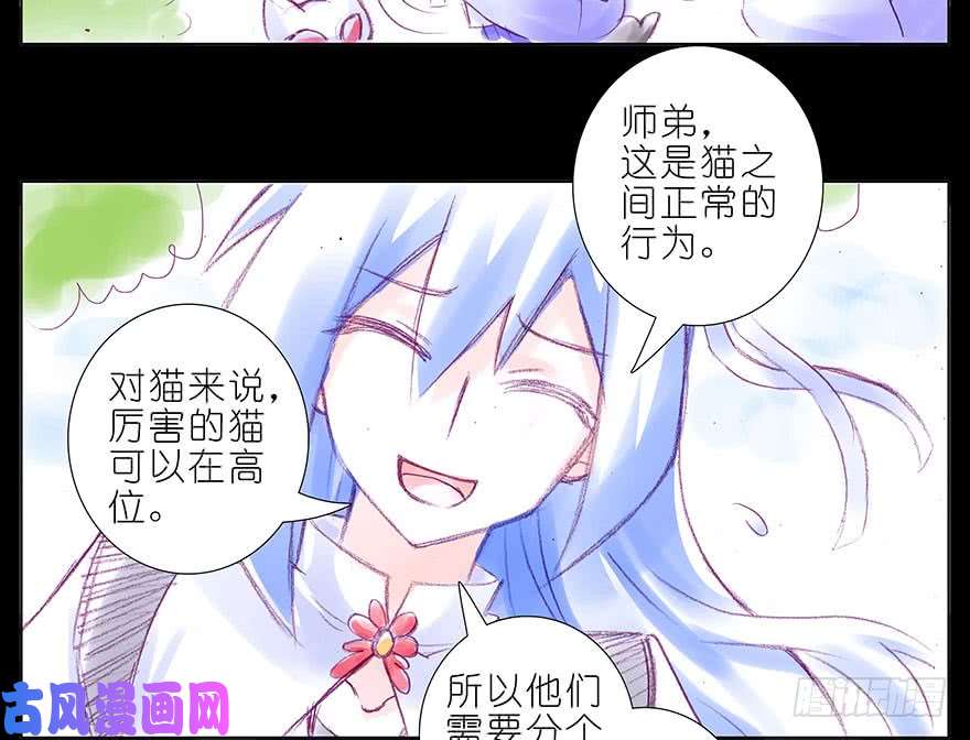 我家大师兄脑子有坑番外：忽然养只猫 八