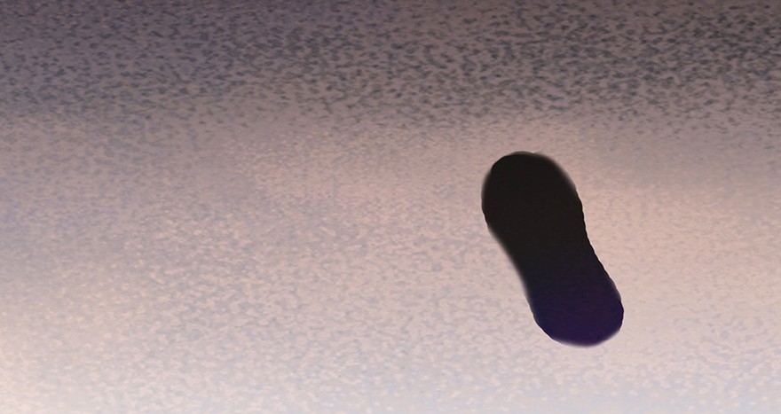 我家大师兄脑子有坑55