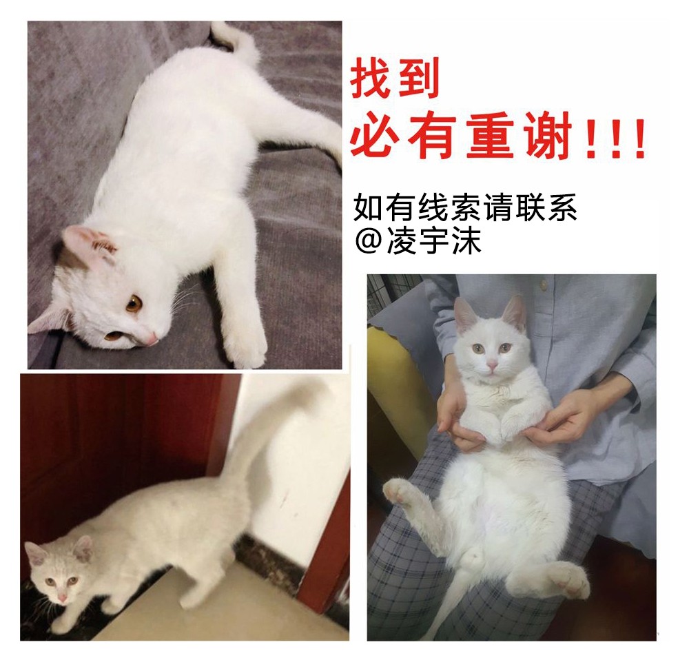 我家大师兄脑子有坑请假条