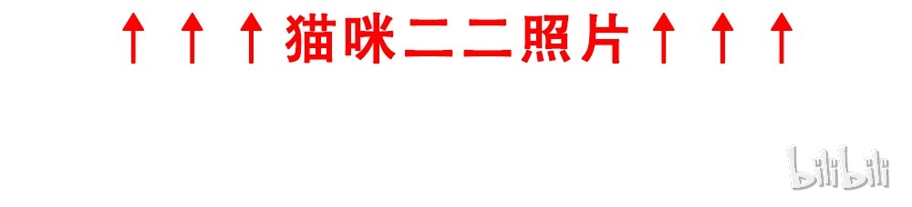 我家大师兄脑子有坑请假条