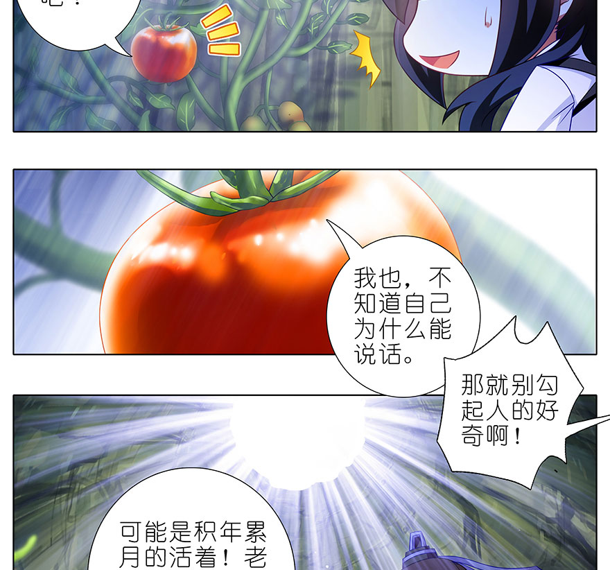 我家大师兄脑子有坑389