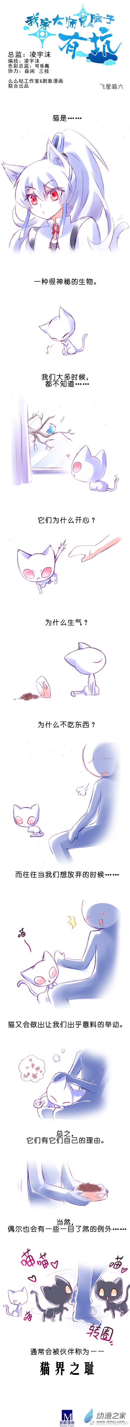 我家大师兄脑子有坑飞星喵06