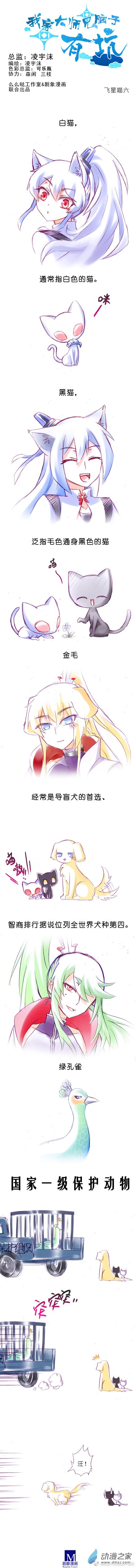 我家大师兄脑子有坑飞星喵07