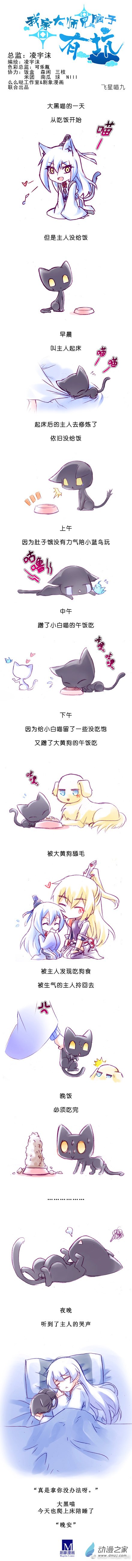 我家大师兄脑子有坑飞星喵09