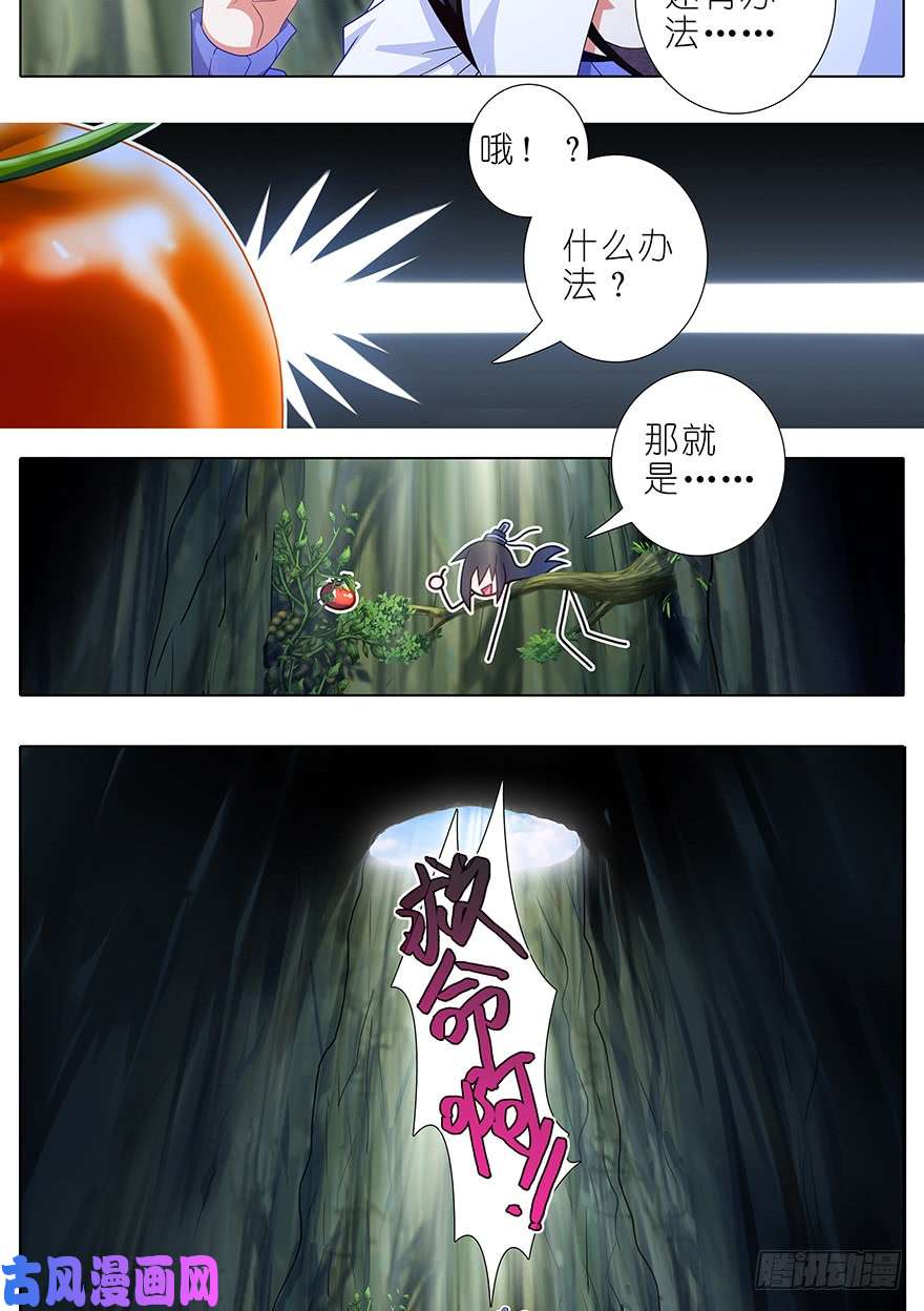 我家大师兄脑子有坑第396坑 天上掉下个……