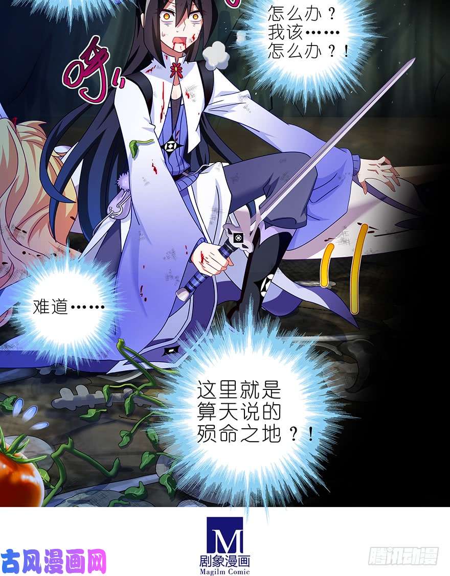 我家大师兄脑子有坑第399坑 这就是殒命之地？
