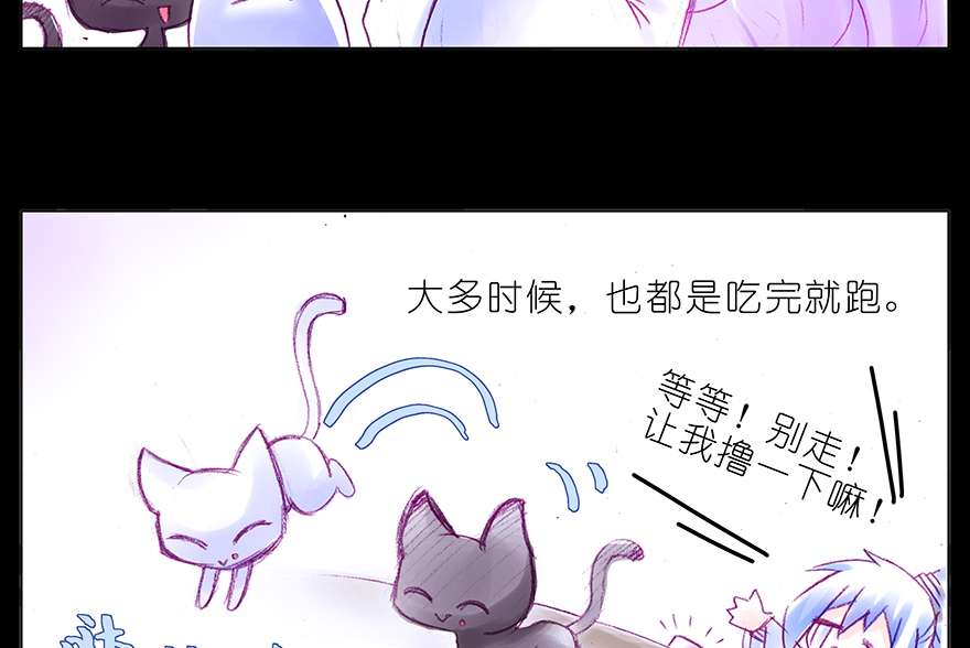 我家大师兄脑子有坑番外 番外：忽然养只猫 六