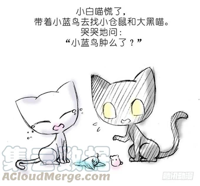 我家大师兄脑子有坑番外14 飞星喵一