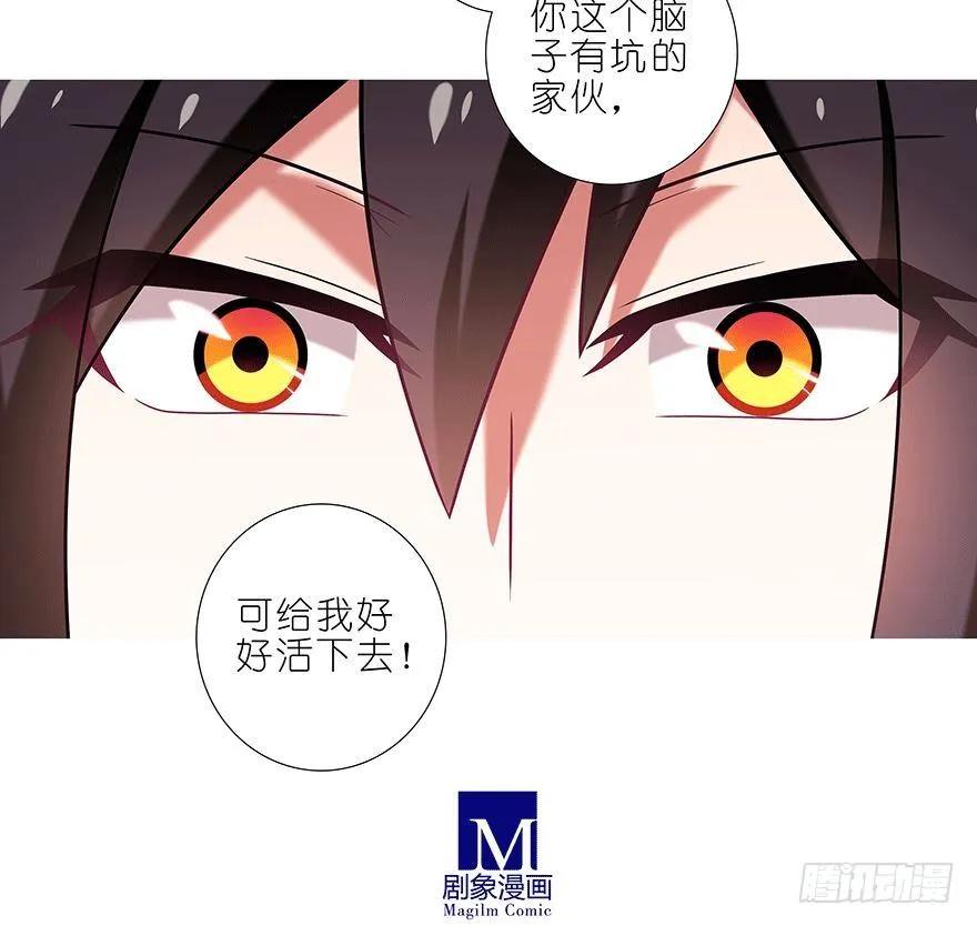 我家大师兄脑子有坑番外45 忽然想养猫坑3