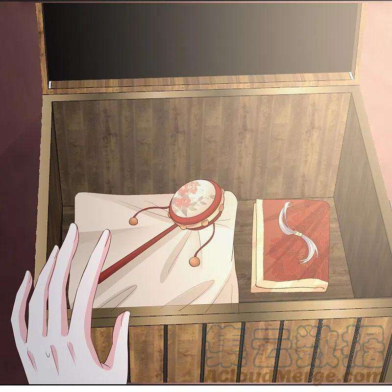 毒医嫡女293话 礼物