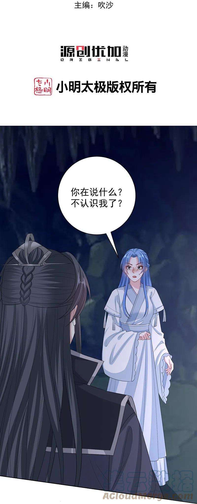 毒医嫡女295话 冒充