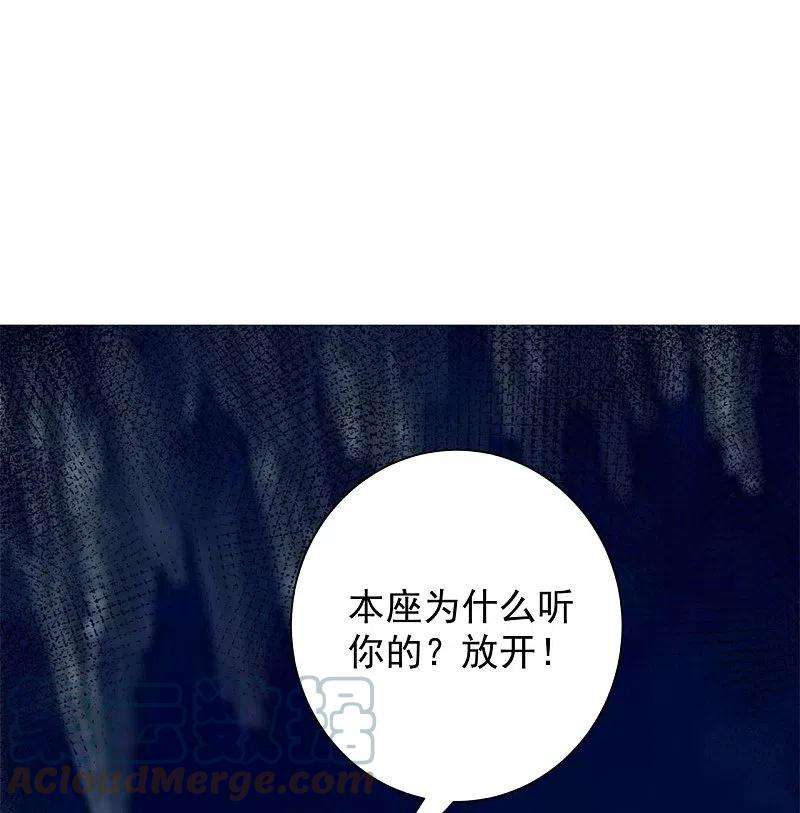 毒医嫡女295话 冒充