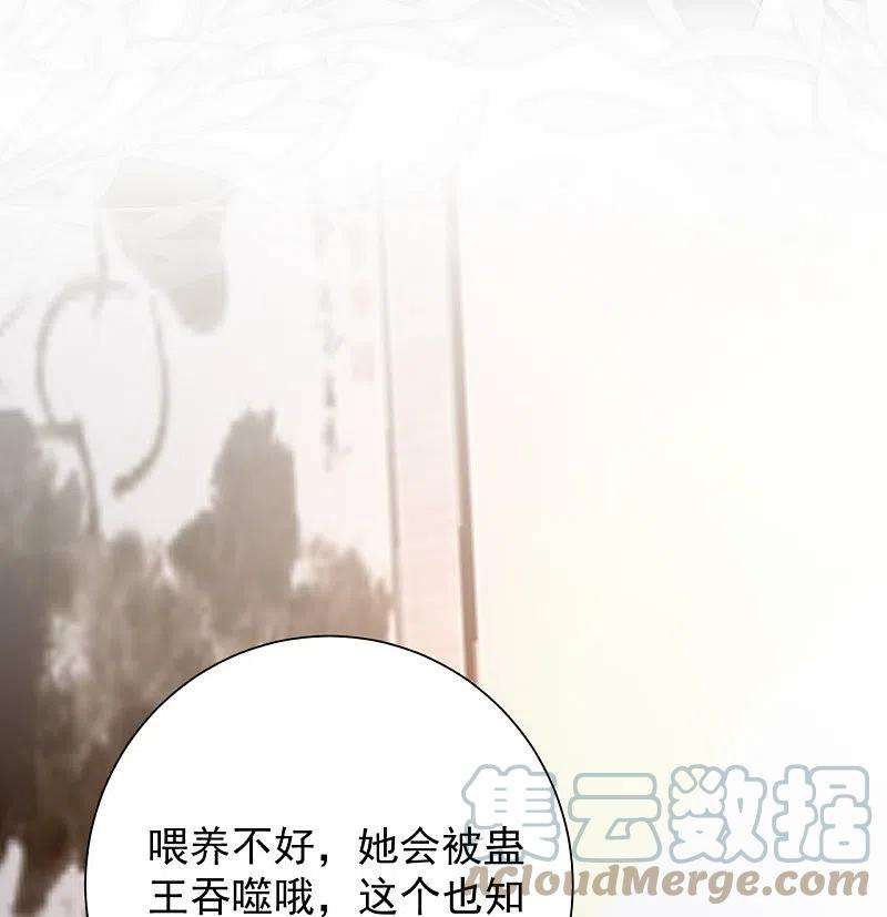 毒医嫡女306话 养蛊