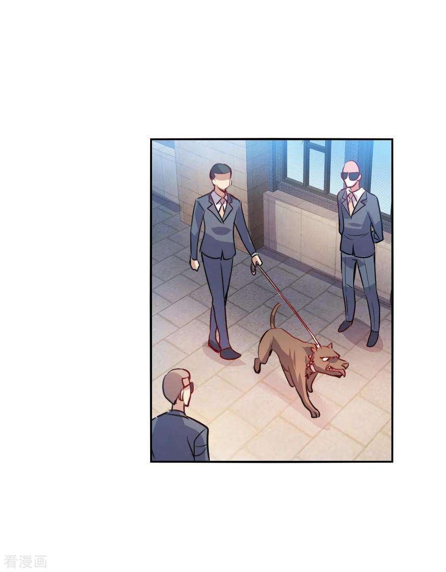 奇怪的苏夕2季第95话 最合适的保镖2