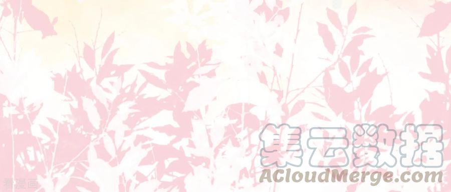 最强桃花运162话 后宫出征？？？