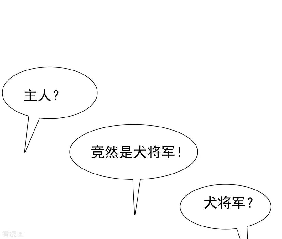 最强桃花运200话 把我的女人重新赢话来？？？