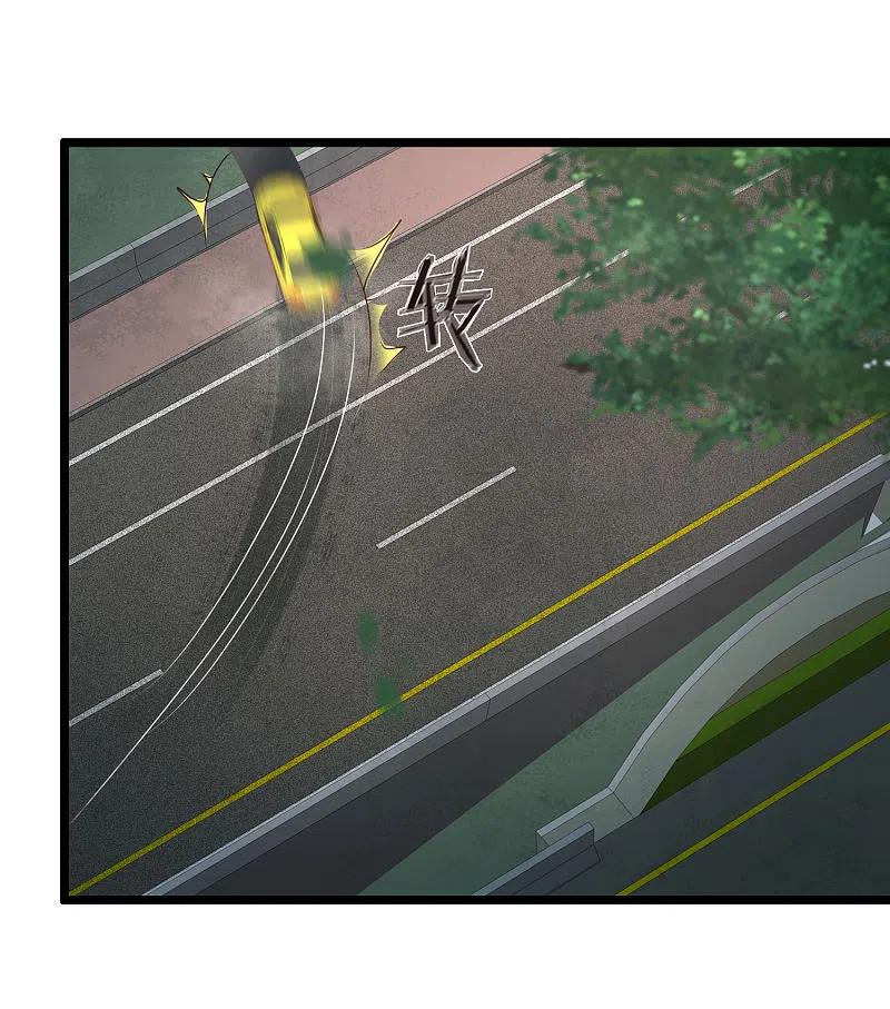 最强桃花运219话 追捕蒙面罪犯？？？