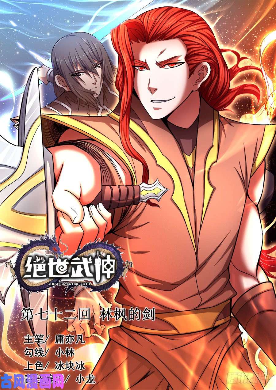 绝世武神林枫的剑（1）