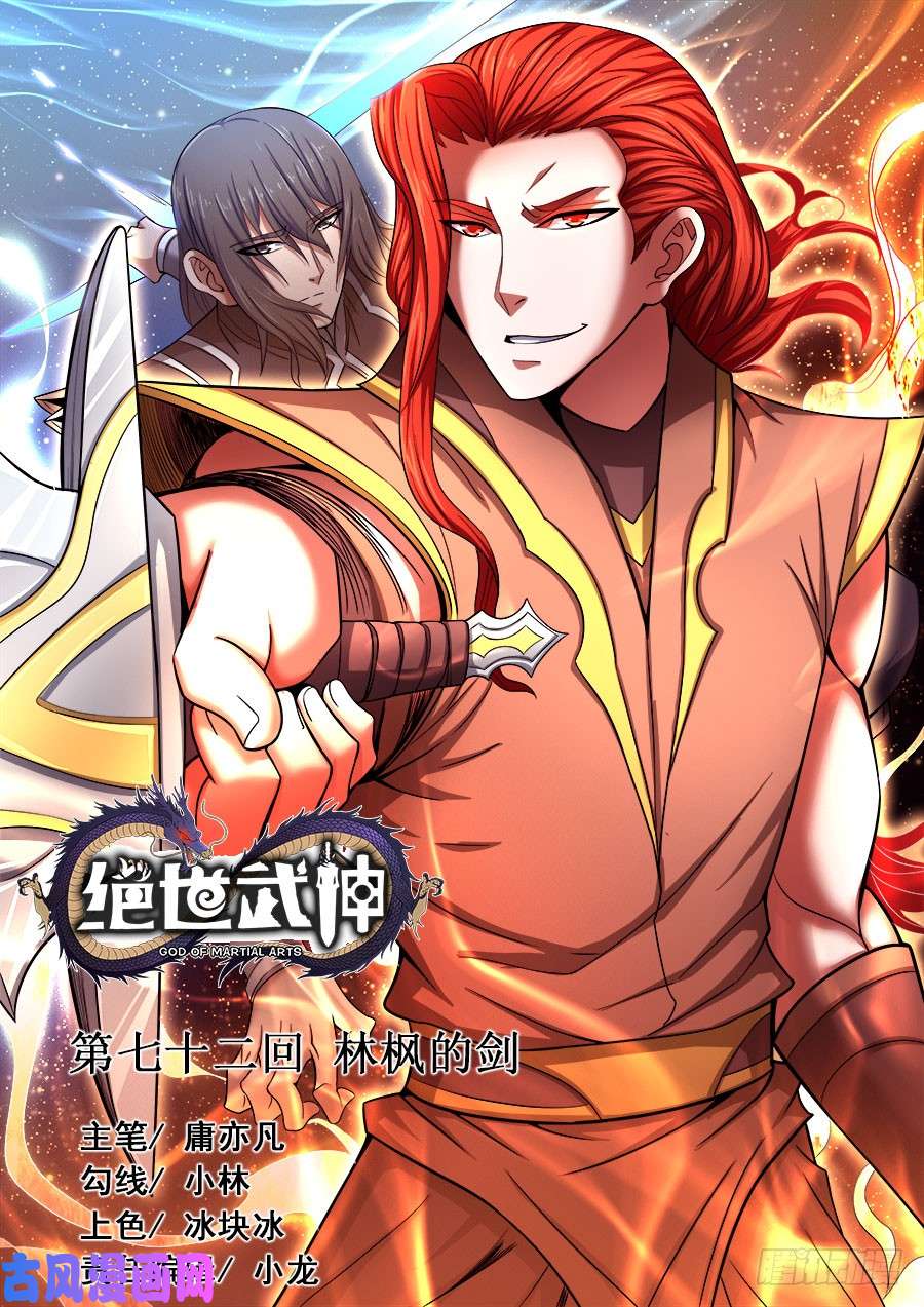 绝世武神林枫的剑（2）