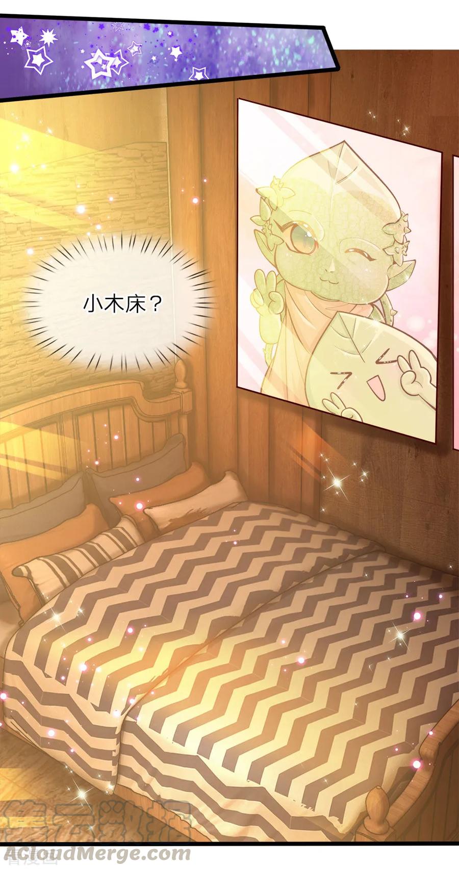 皇帝陛下的天价宝贝24话 小木床小照片小绿人鸭