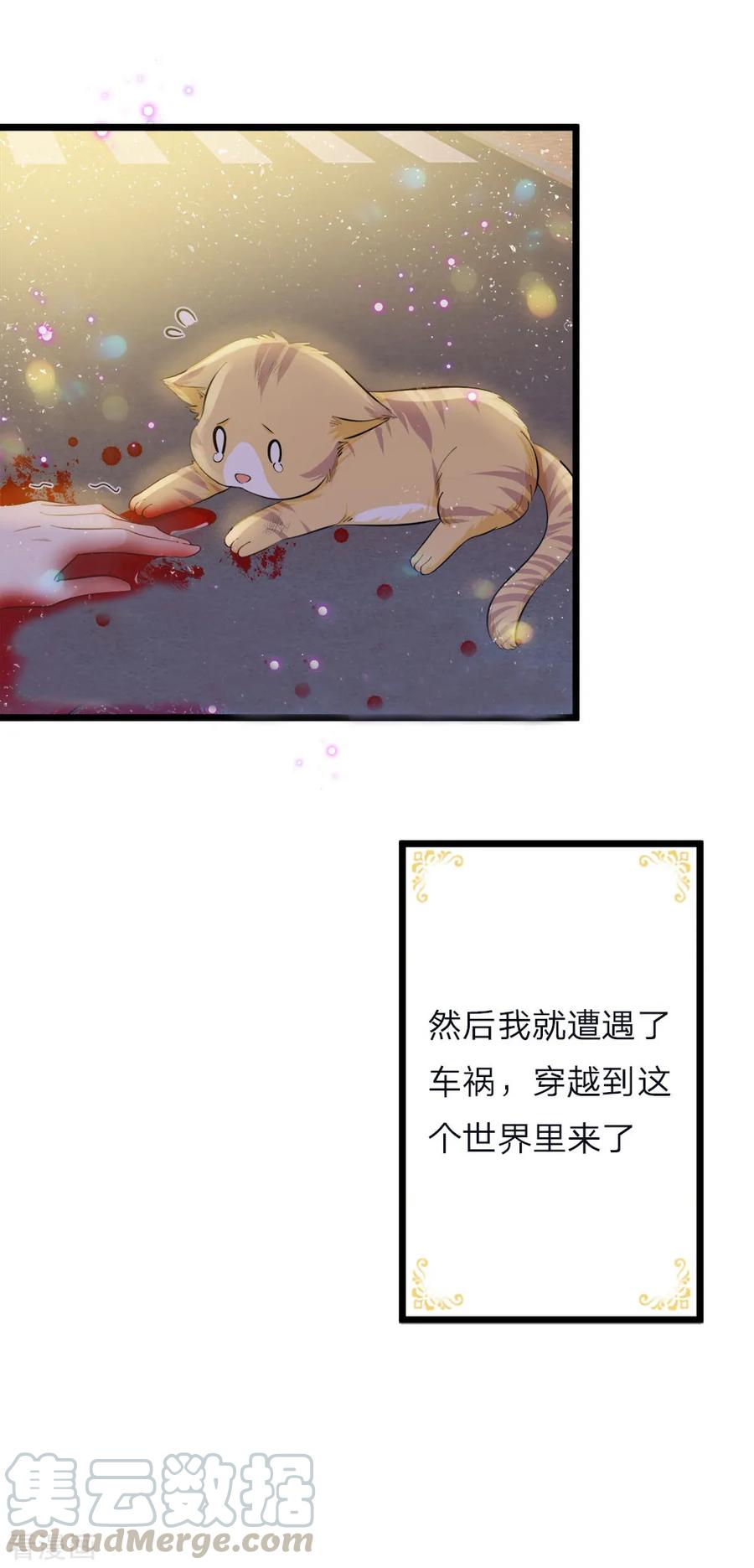 皇帝陛下的天价宝贝54话 晦儿的悲惨过去生活