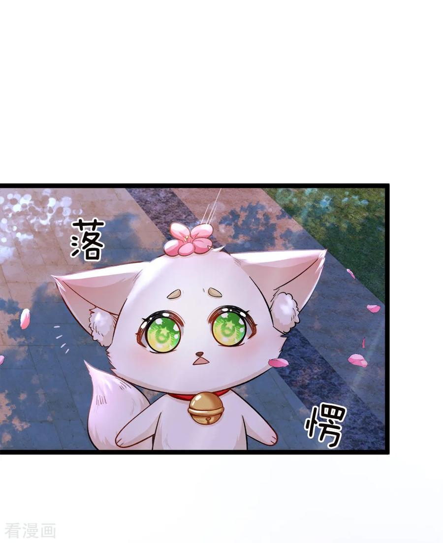 皇帝陛下的天价宝贝86话 一树繁花赠卿心