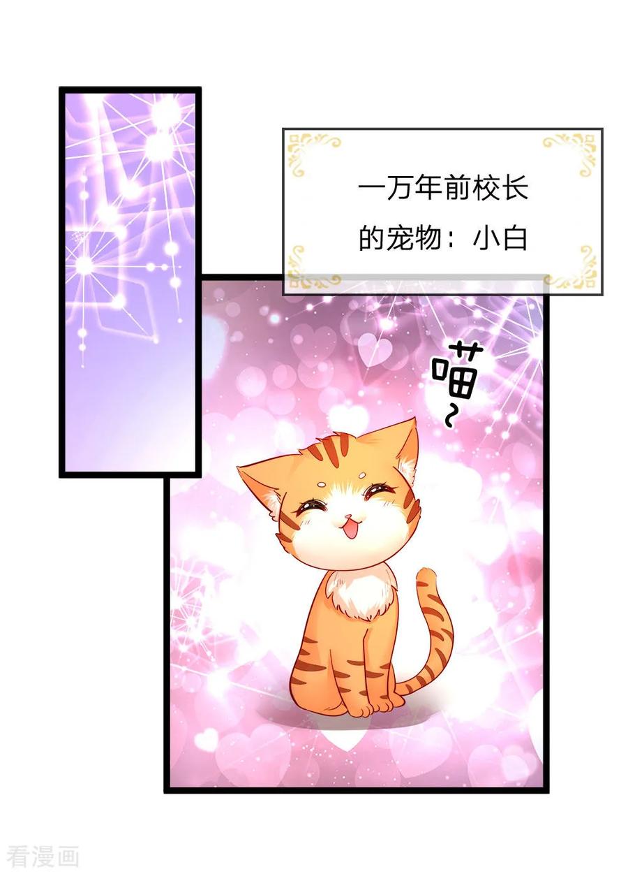 皇帝陛下的天价宝贝128话 小白是谁