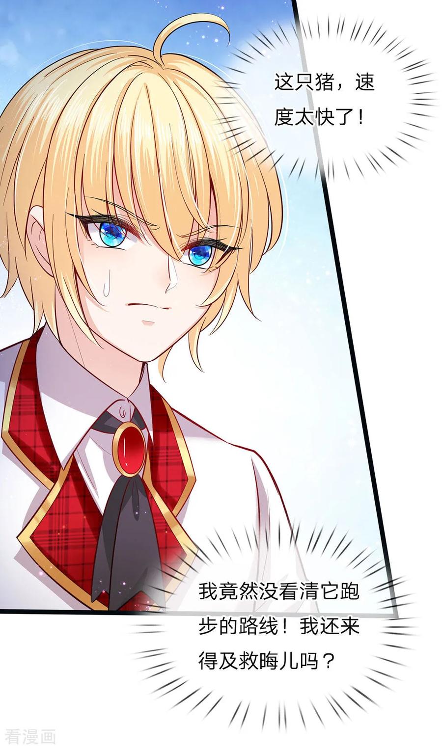 皇帝陛下的天价宝贝150话 猪猪认主