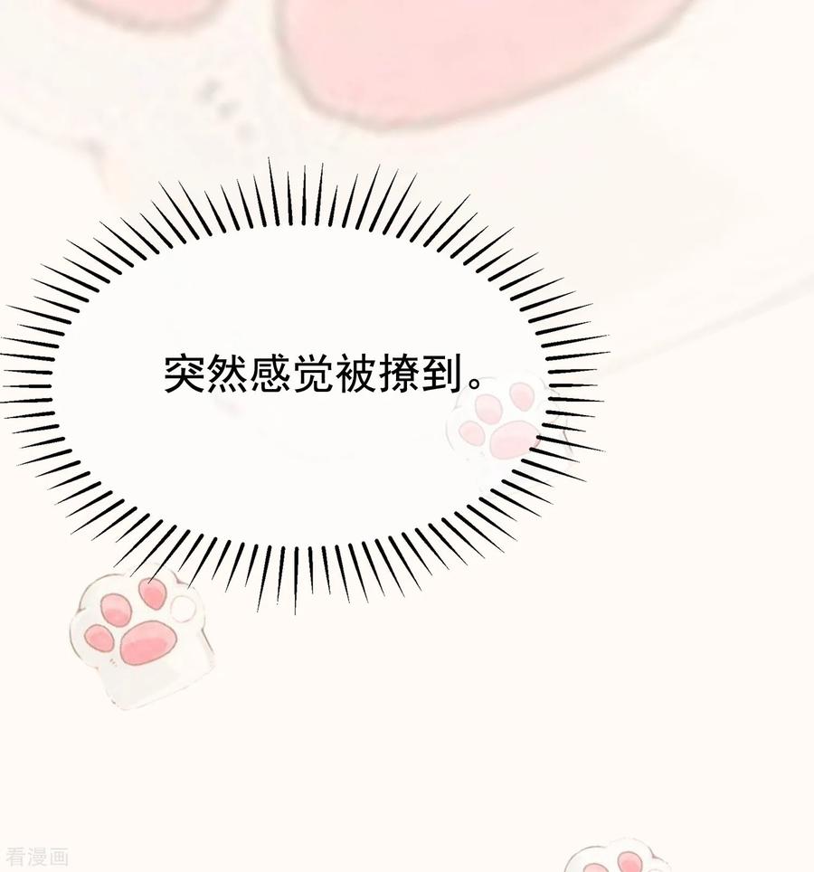 渣男总裁别想逃179话 如果不再爱我就请告诉我