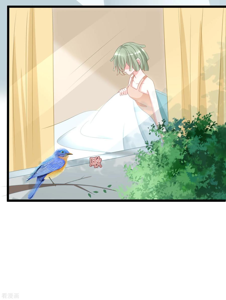 渣男总裁别想逃185话 你不该触碰我的底线！