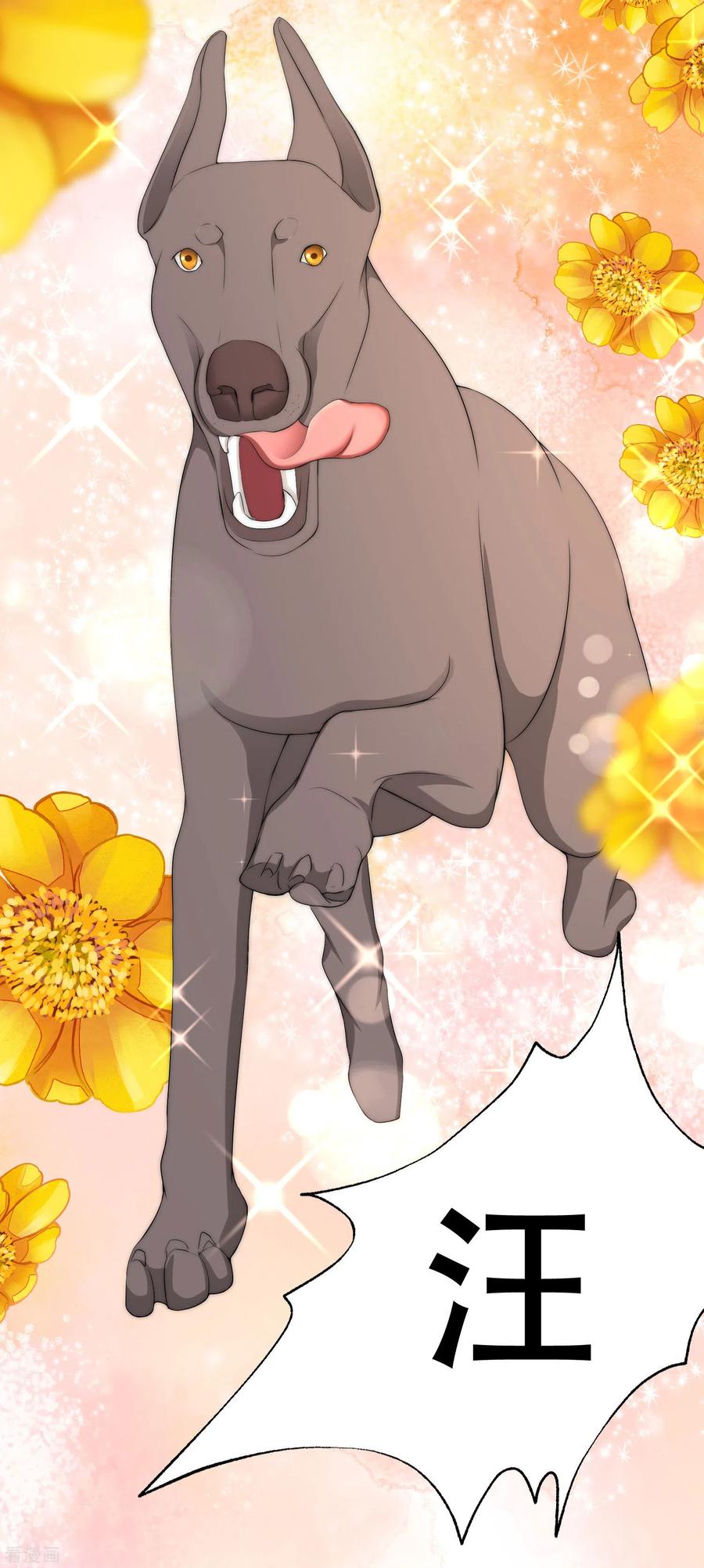 渣男总裁别想逃244话 虐渣姐妹又要登场了！