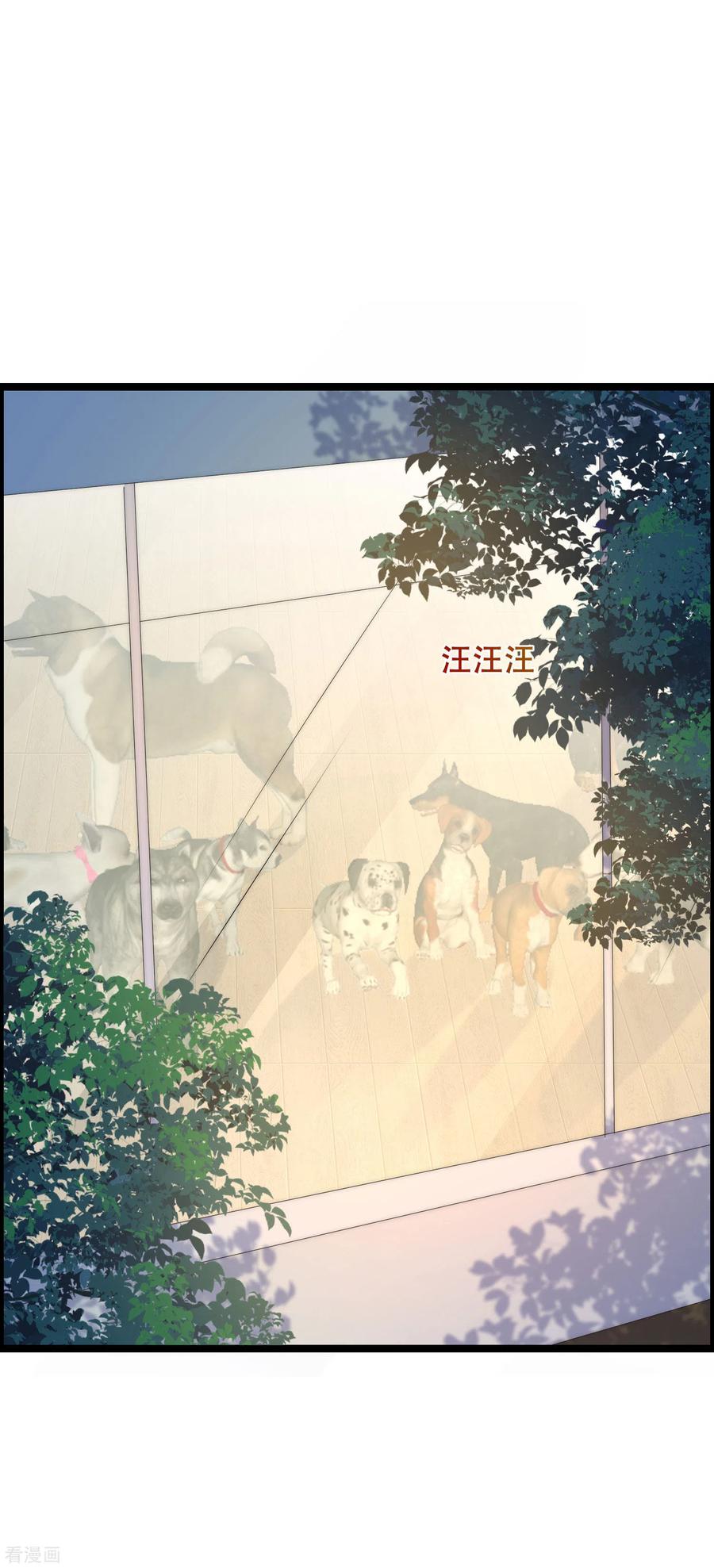 渣男总裁别想逃283话 阿琛，冲鸭！！！