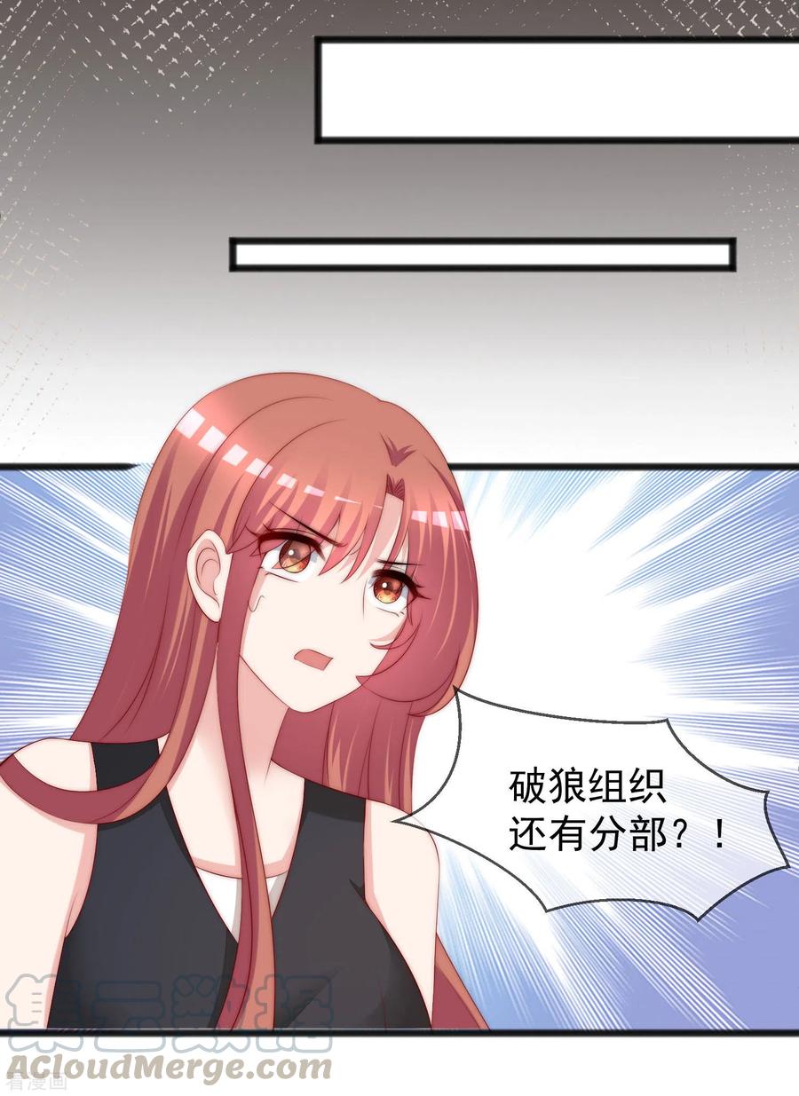 渣男总裁别想逃285话 破狼组织的新成员？！