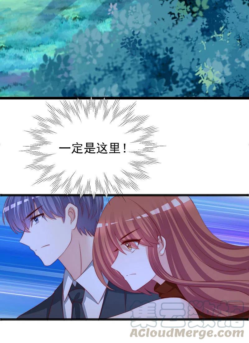 渣男总裁别想逃295话 沈姨最后的决定