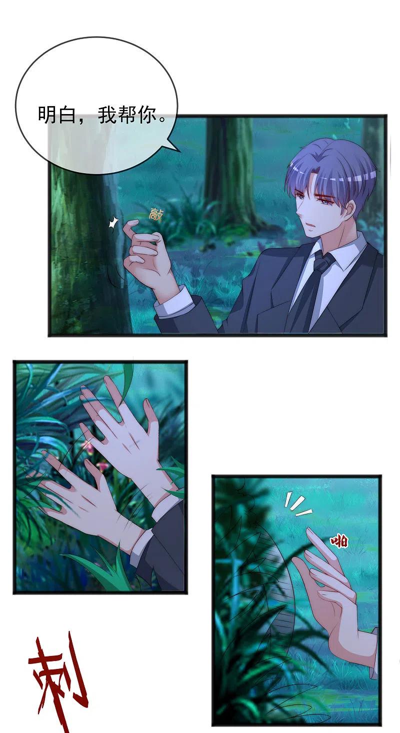 渣男总裁别想逃295话 沈姨最后的决定