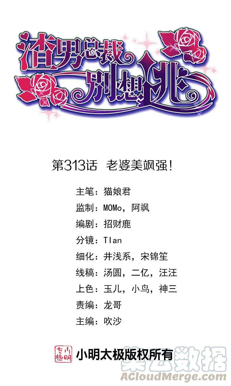 渣男总裁别想逃313话 老婆美飒强！