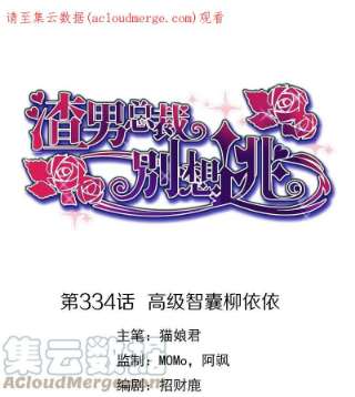 渣男总裁别想逃334话 高级智囊柳依依