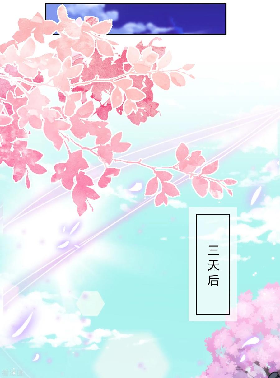 哦，我的宠妃大人247话 不会打人我教你