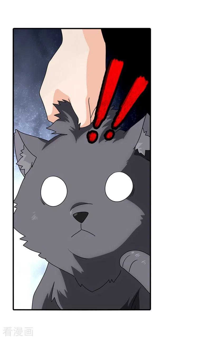 我的守护女友163